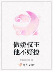 傲娇王爷太难追原著