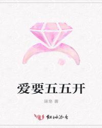 五五开系统的