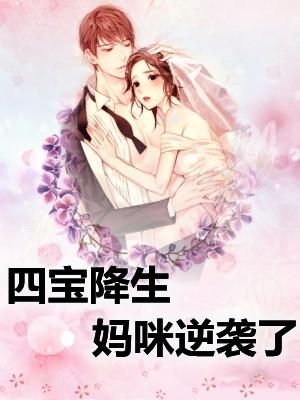 苏洛汐沈寒风