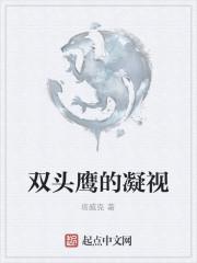 双头鹰的眼睛