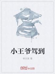 穿越小王爷