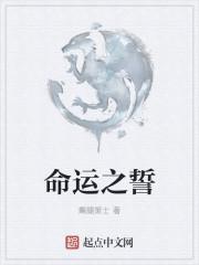 命运之誓是什么装备