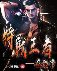 都市特战王 大道之间