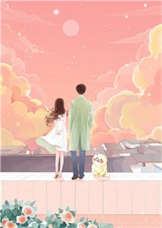 假婚宠妻