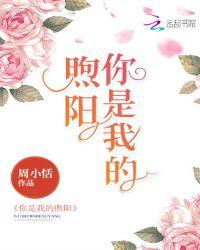 你是我的阳什么意思