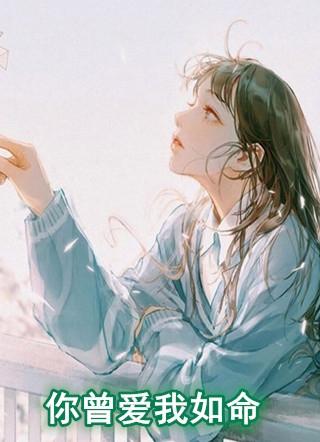你曾爱我如儿戏免费阅读