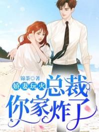 娇妻似火霸道总裁玩心跳