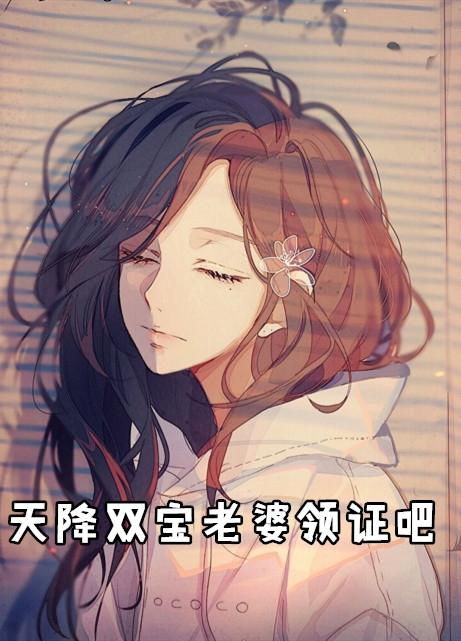 天降双宝总裁宠妻无下限