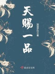 天赐一品电子书