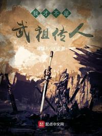 我不是武帝