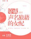 穿成声名狼藉的女配讲的什么