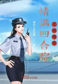 情满四合院之何雨柱的风流生活