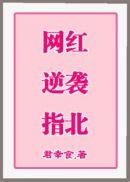 网红逆袭指北笔趣趣