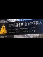 做主角不如做他爹快穿txt