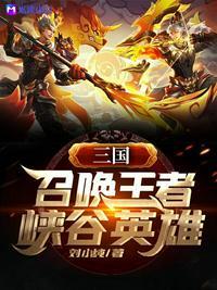 三国召唤王者荣耀英雄刘协笔趣阁