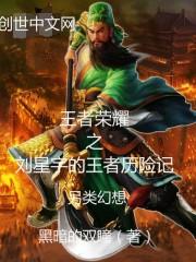 刘星宇解说王者荣耀视频