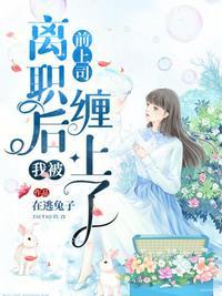 离职后我被前上司缠上全文阅读