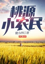 桃园兵书