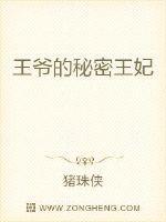 秘密王妃产品介绍