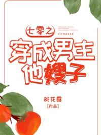 七零之穿成男主他嫂子 晋江