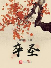 圣宁的意思