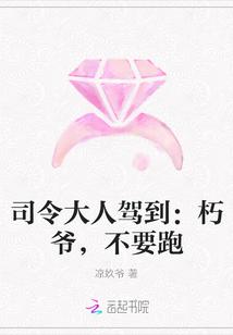 司令大人 漫画