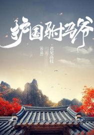 护国驸马爷txt免费八零