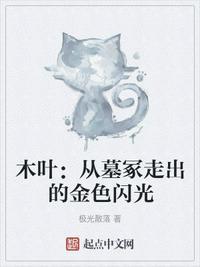 木叶村百度百科