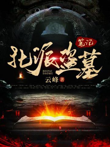 诡影盗贼免费阅读