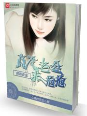 闪婚甜妻高冷老公晚上约免费阅读