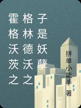 霍格沃茨格林德沃