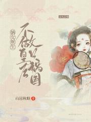 重生之不做皇后陆卫青