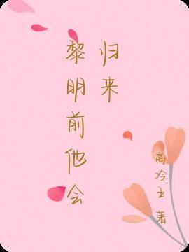 黎明前他会归来内容简介