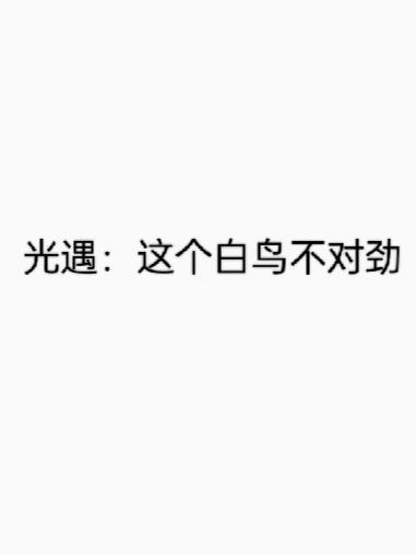 光遇的白鸟是什么意思