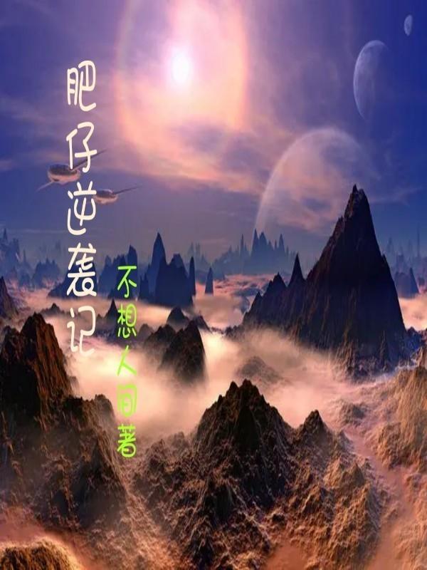 电视剧肥仔