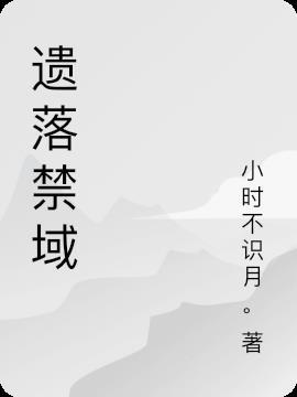 遗落战境什么意思