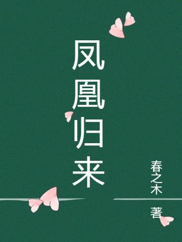 功夫熊猫第九集凤凰归来