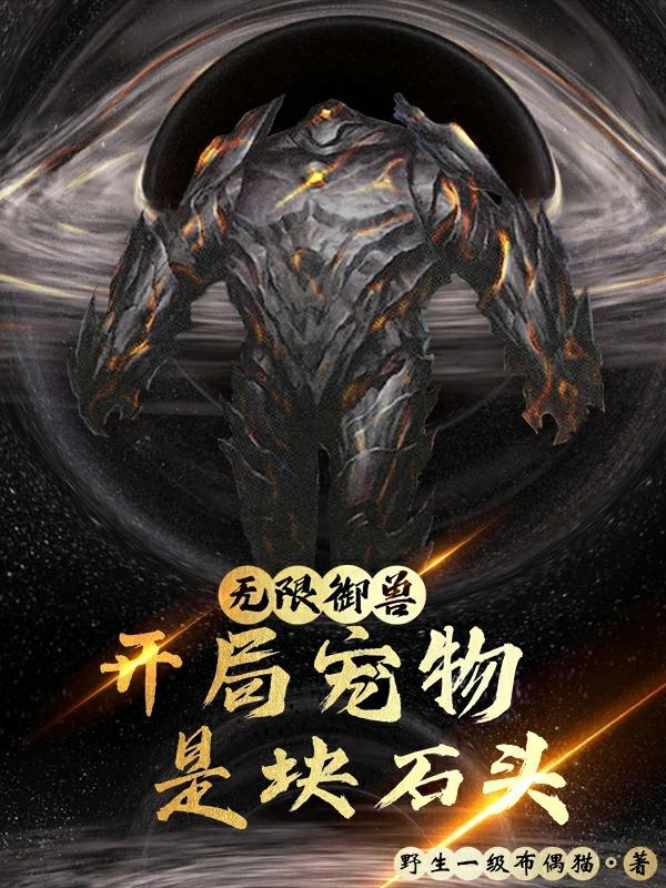 无限御兽开局宠物是块石头TXT