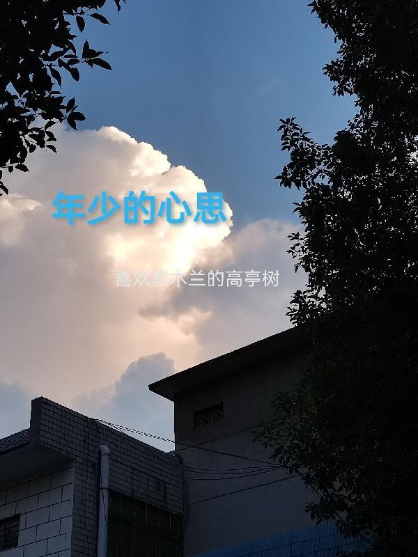 年少的心总有些轻狂是哪首歌的歌词