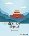 穿越之北宋末的特种兵
