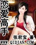 恋爱高手TXT全集