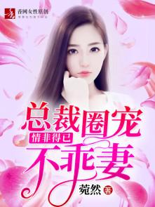 总裁的圈外小情人