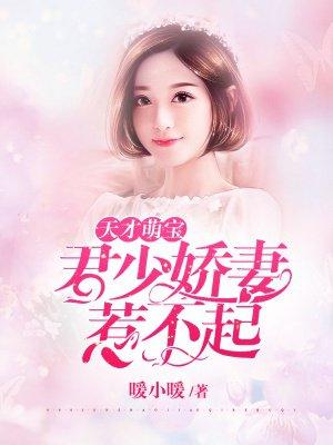 天才萌宝君少娇妻惹不起 暖小暖