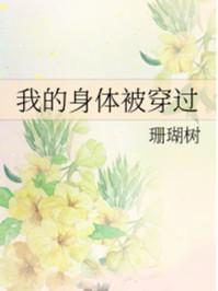 我的身体被穿过全文阅读