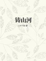 武铸山河