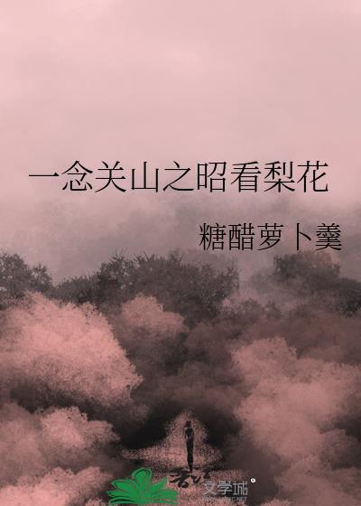 一念关山观后感