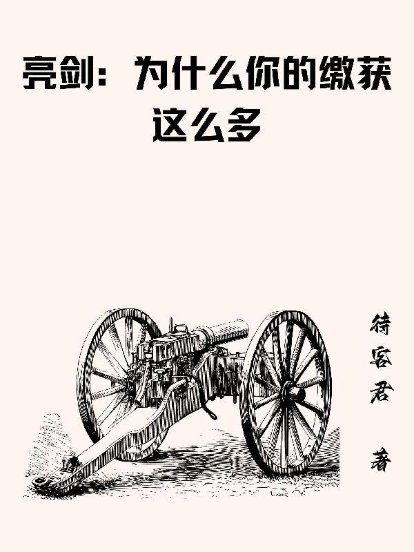 亮剑我给云龙当领导待客君著