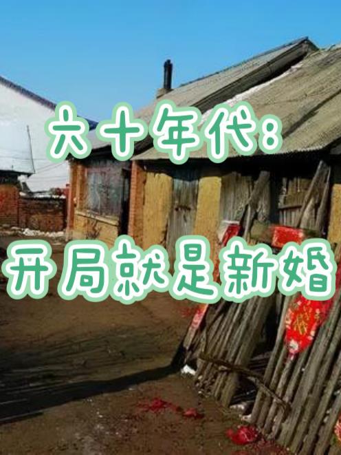 六十年代开局就是新婚 全文免费阅读
