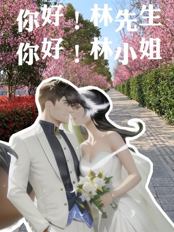 林小姐 子宸木木
