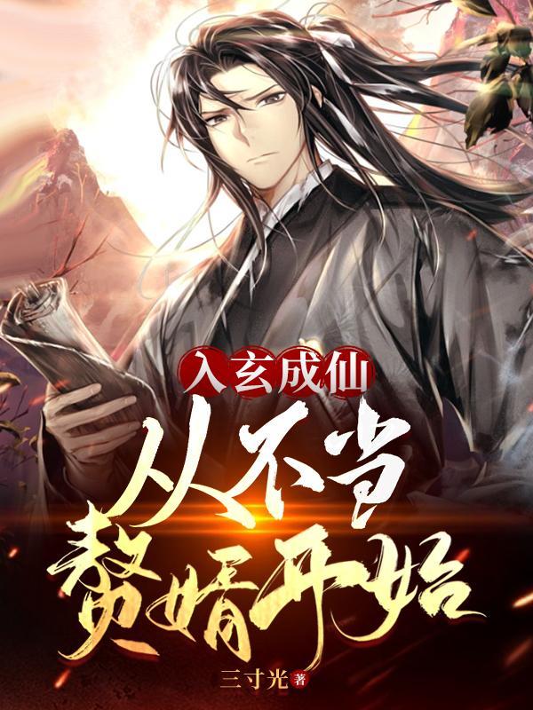 从不当赘婿开始